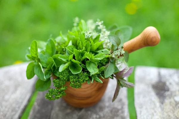 Fresh herbs in a wooden mortar — Stock Photo, Image