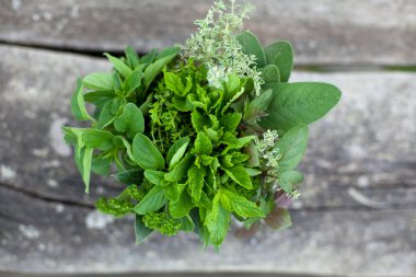 Tahta havanda taze bitkiler.