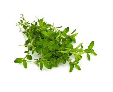 Beyaz arka plan üzerinde izole kekik