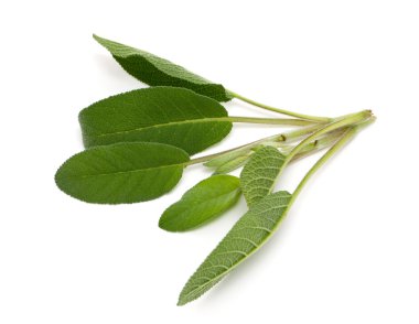 Demet taze adaçayı