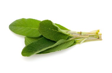 Demet taze adaçayı