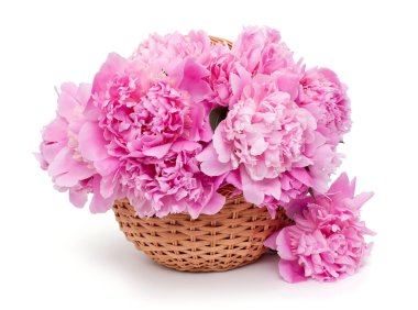 Beyaz arka plan üzerinde izole peonies sepeti