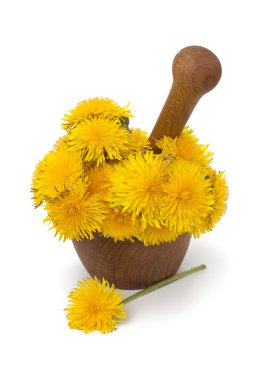 bir harç içinde sarı dandelions