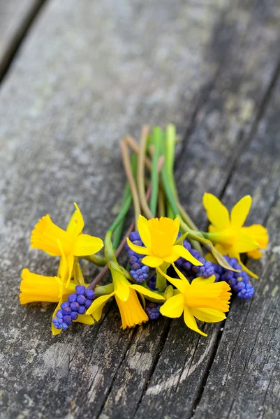 Narcis a Modřenec květiny na dřevěný stůl — Stock fotografie