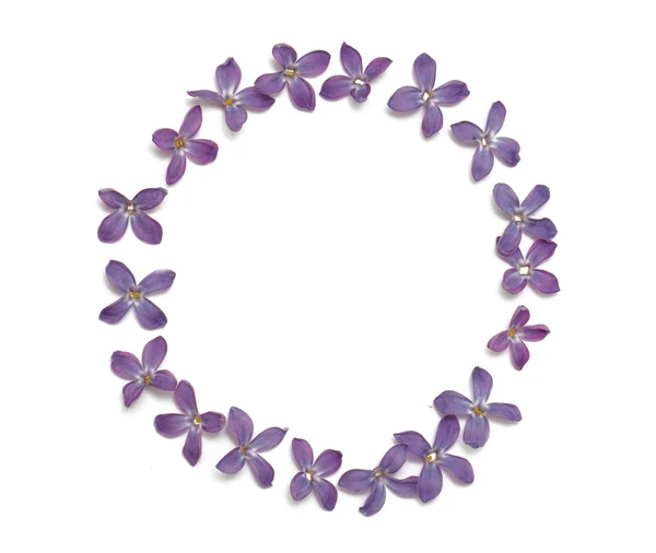 Lilac frame — Stock Photo, Image