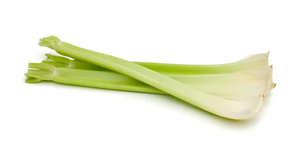 白で隔離されるセロリの茎 — ストック写真