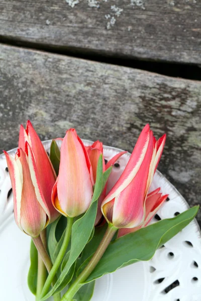 Tulipanes sobre fondo de madera — Foto de Stock