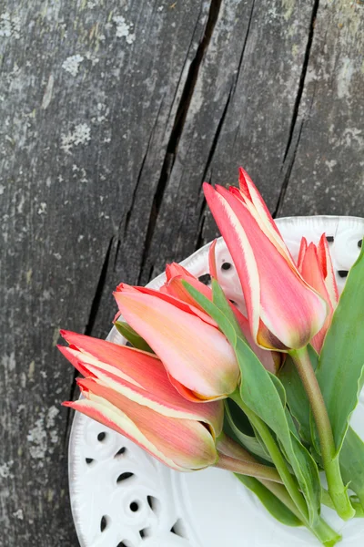 Tulipanes sobre fondo de madera — Foto de Stock