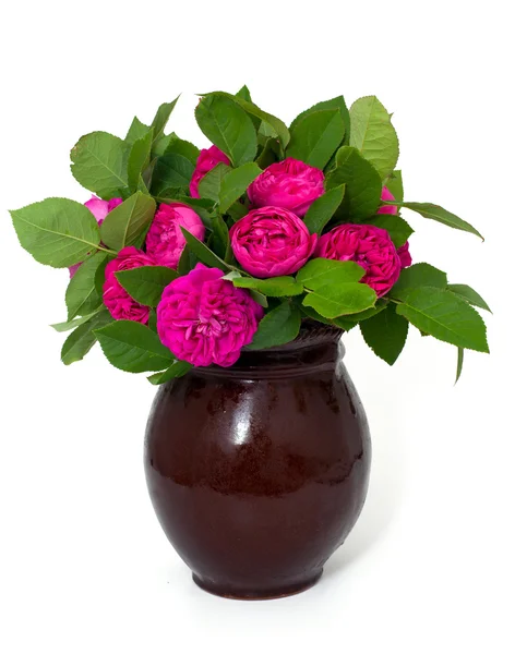 Садовые розы в глиняной вазе — стоковое фото