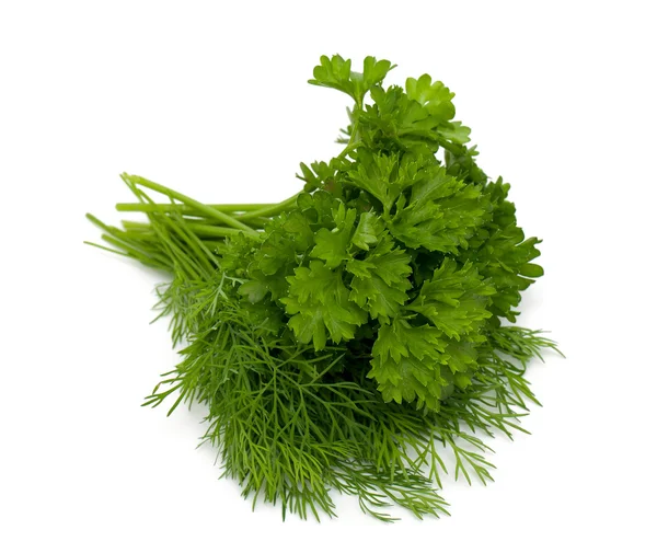 Bunch of dill and parsley — Stock Photo, Image