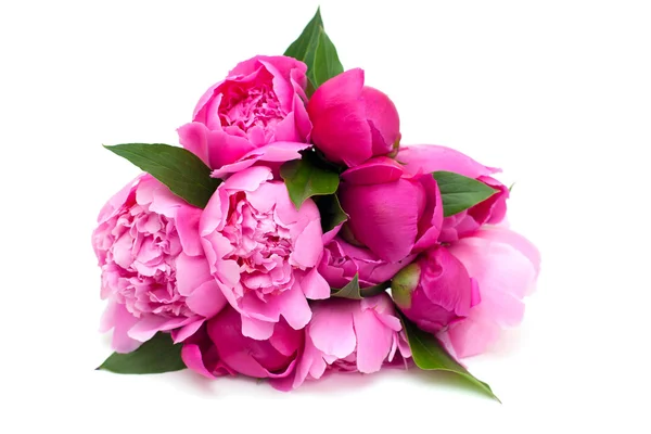 Beyaz arka plan üzerinde izole pembe peonies demet — Stok fotoğraf