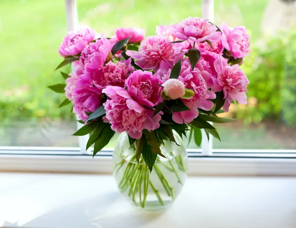 Pink peonies on window sill — Stock Photo, Image