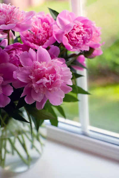 Peônias cor-de-rosa na soleira da janela — Fotografia de Stock