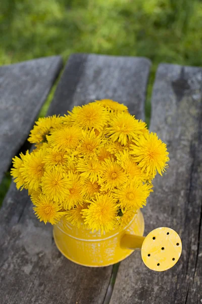 Dandelions in a watering can — Stock Photo, Image