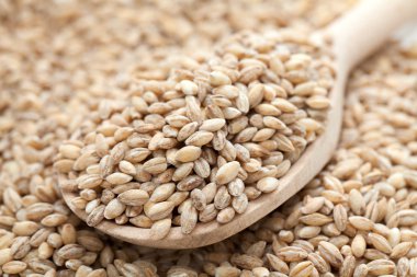 inci arpa, tahta kaşık