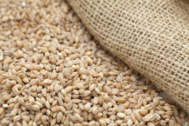 inci arpa, tahta kaşık