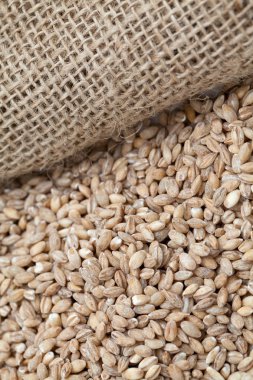 inci arpa, tahta kaşık