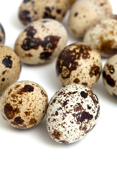 Uova di quaglia isolate su sfondo bianco — Foto Stock