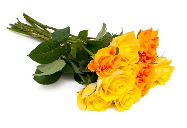 Rose gialle e arancioni — Foto Stock