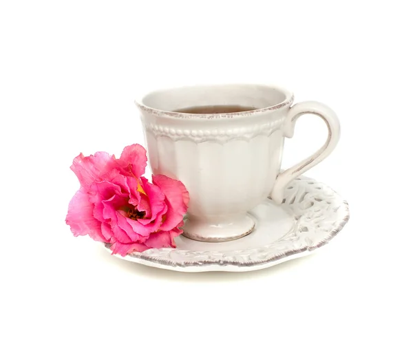 Cup of tea and pink flower — Stock Photo, Image