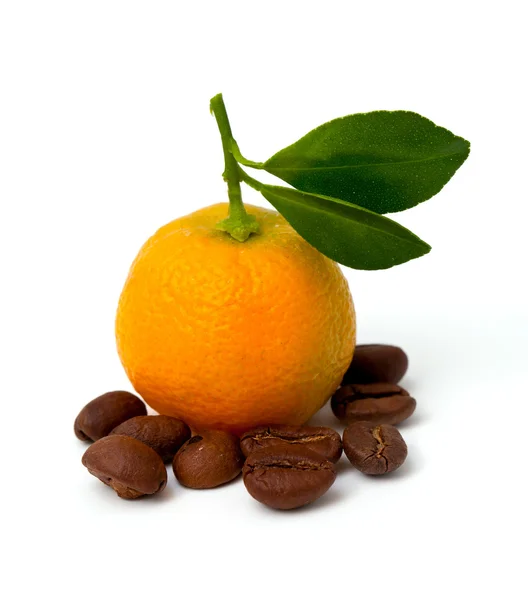 Coffee bean and fresh citrus fruit — Stock Photo, Image