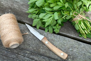 ahşap masa üzerinde kurutmak için hazırlanan bağlı kekik