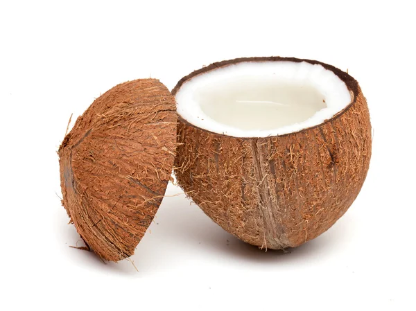 在白色上隔离的椰子 — 图库照片
