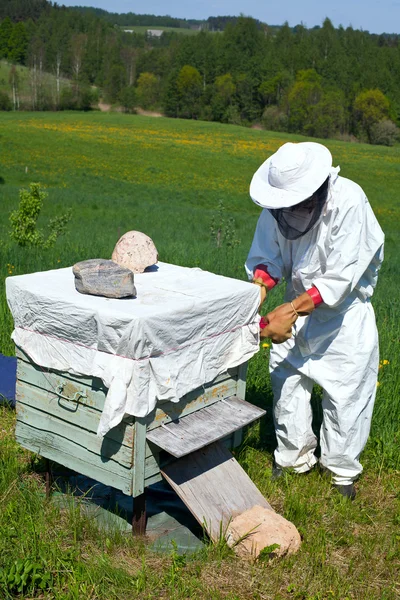 Apiculteur travaille dans son aplaire — Photo