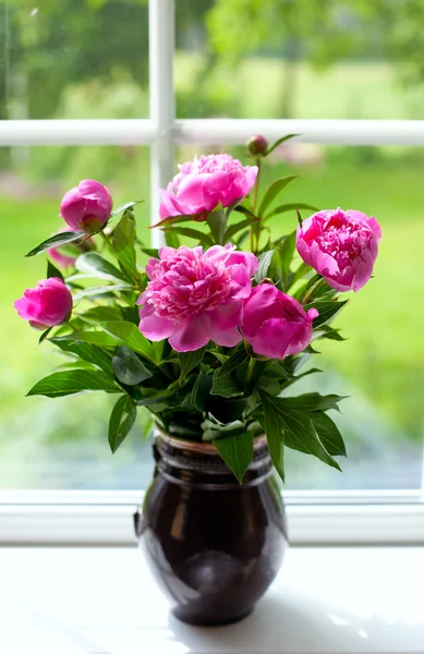 Vase with peony flowers — Stock Photo, Image