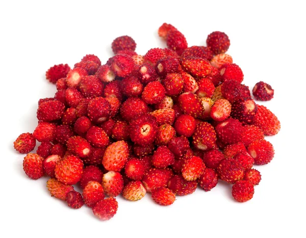 Wild strawberries — Stock Photo, Image