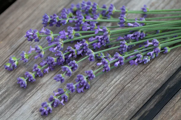 Lavendel boven hout — Stockfoto