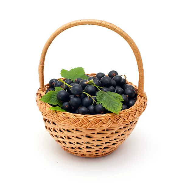 Basket with black currant — Stock Photo, Image