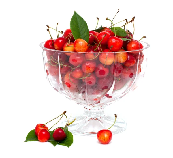 Желтые и красные вишни в стеклянной тарелке — стоковое фото