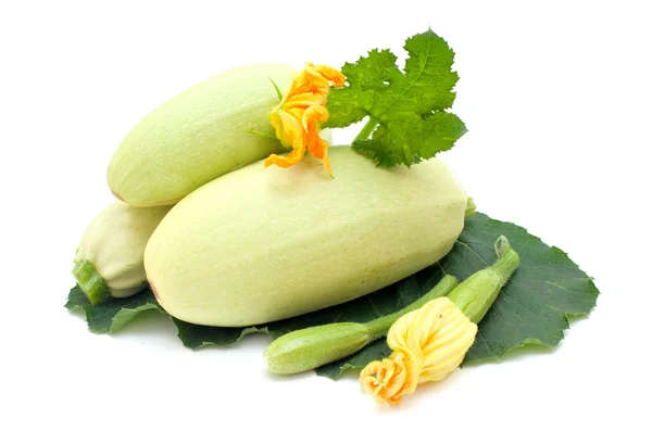 Zucchini with zucchini flower — Stock Photo, Image