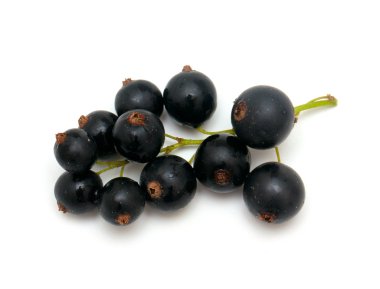 Siyah frenk üzümü