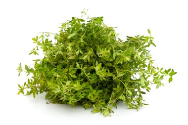 kekik herb
