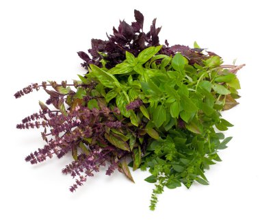 Kırmızı ve yeşil taze fesleğen