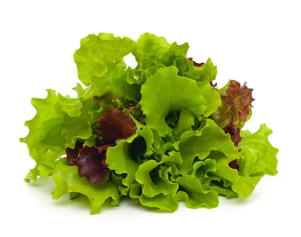 Friss zöld és vörös saláta izolált fehér alapon — Stock Fotó