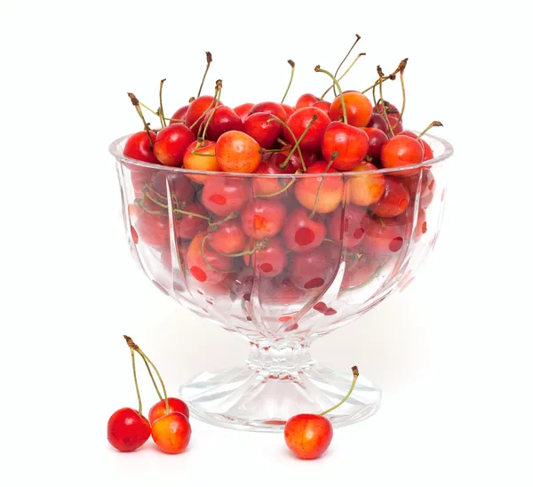 Cerezas amarillas y rojas en tazón — Foto de Stock