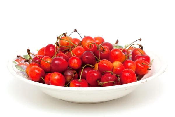 Желтые и красные вишни в тарелке — стоковое фото