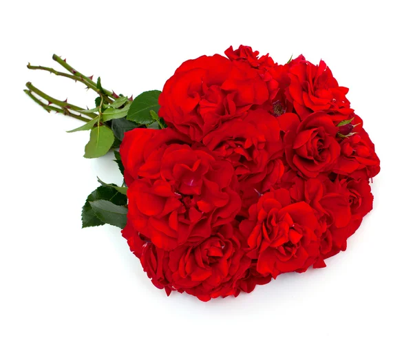 Μάτσο όμορφα κόκκινα τριαντάφυλλα — Φωτογραφία Αρχείου