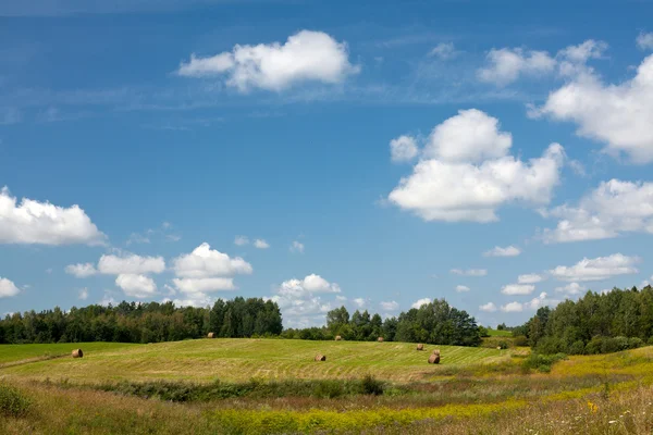 Landskap med rundbalar och vacker himmel — Stockfoto