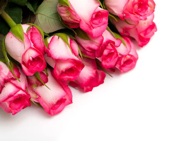 Ροζ τριαντάφυλλα και κενό χώρο για το κείμενό σας — Φωτογραφία Αρχείου