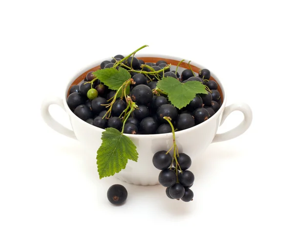 Bowl with black currant — Stock Photo, Image