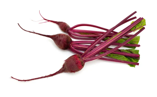 Beet root — Stockfoto