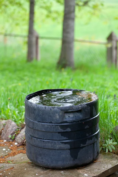 Plastic container collecting rain water for plant watering — Stock Photo, Image