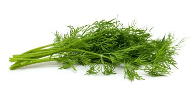 Dill.