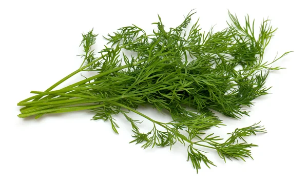 Dill. — Fotografia de Stock