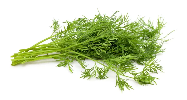 Dill. — Fotografia de Stock