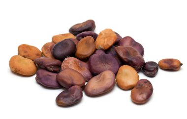kurutulmuş fava fasulye